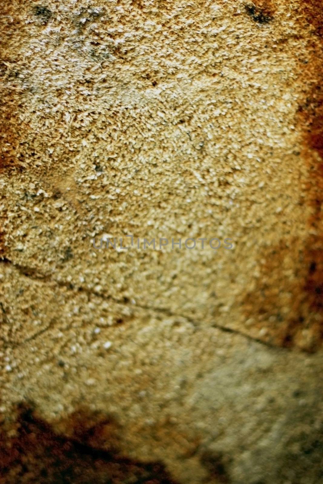Circles of sliced wood. Background grunge texture