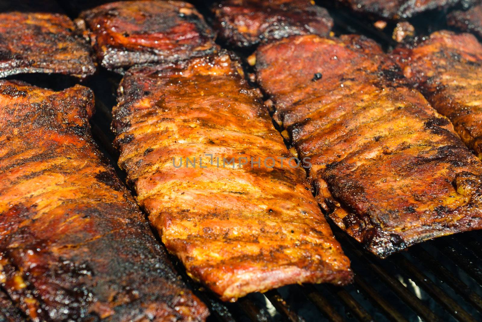 Barbecue Ribs on the Grill