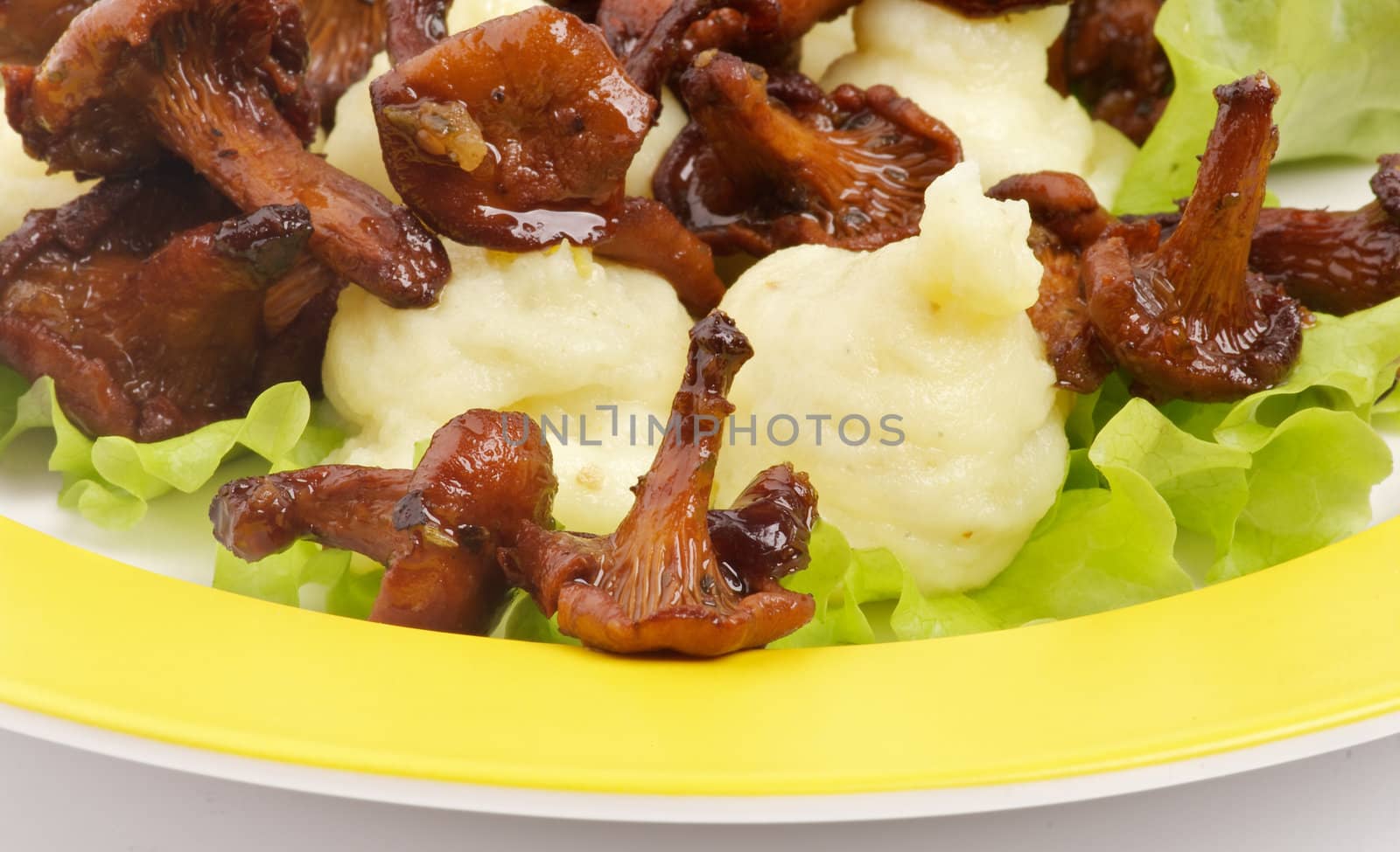 Roasted Chanterelles with Mushed Potato and Lettuce on Yellow Plate closeup