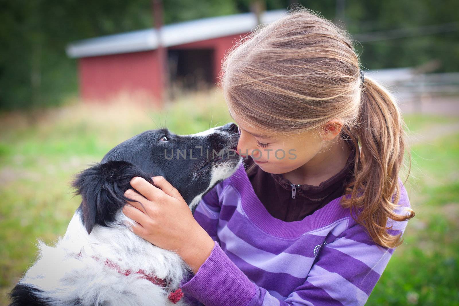 Teenage child with border collie