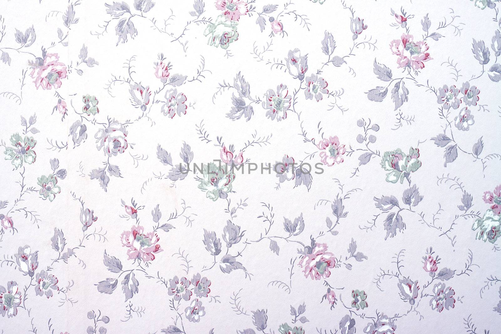 A vintage old wallpaper from the fifties, with flowers and buds