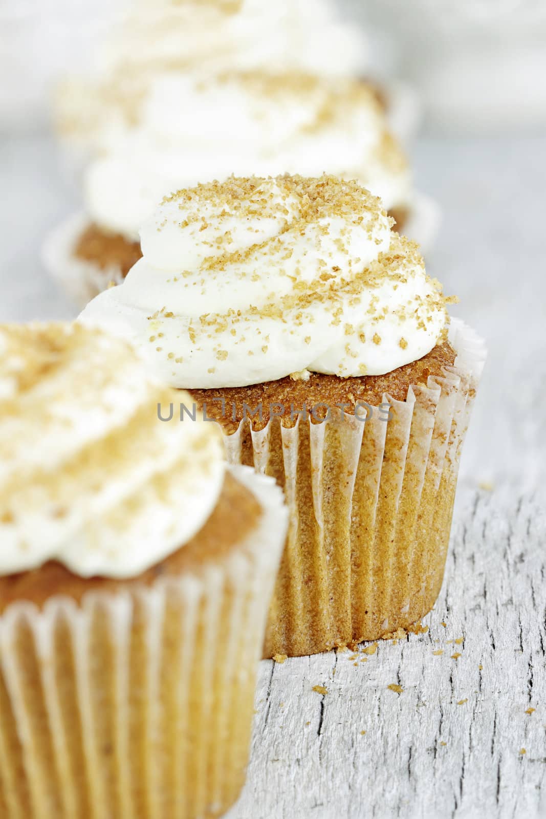 Pumpkin Spice Cupcake with Cream Cheese Icing by StephanieFrey