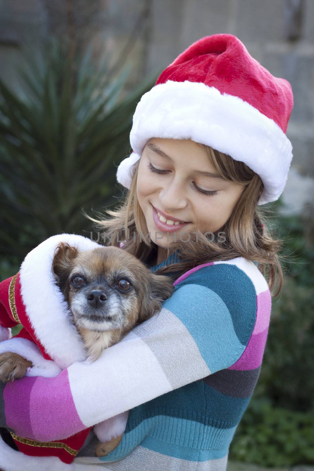 Girl and dog in christmas costume by annems