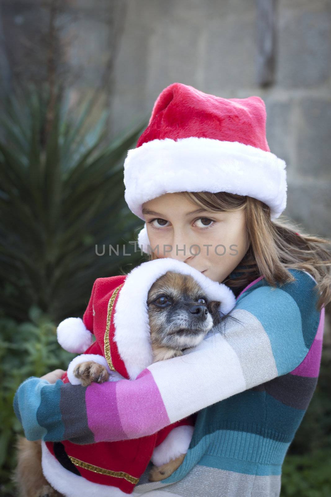 Girl and dog in santa hats by annems