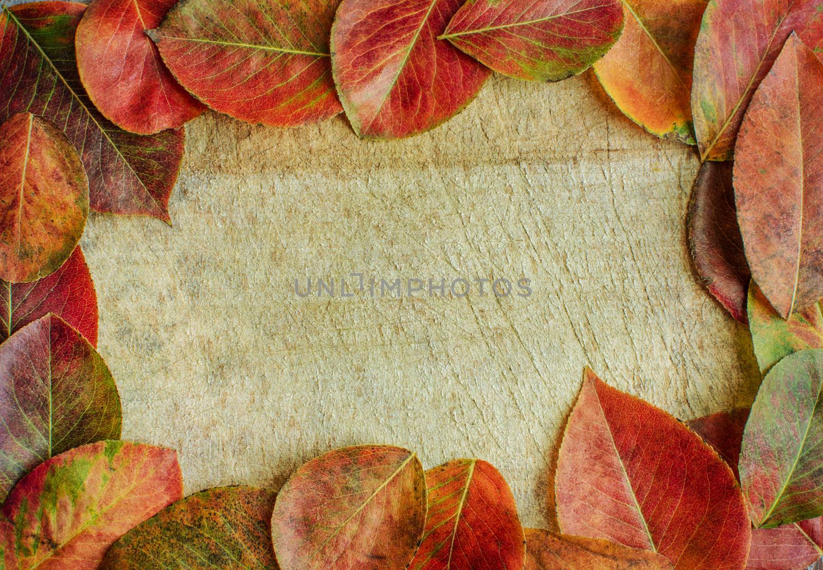 Autumn leaves on a wooden background with copy space