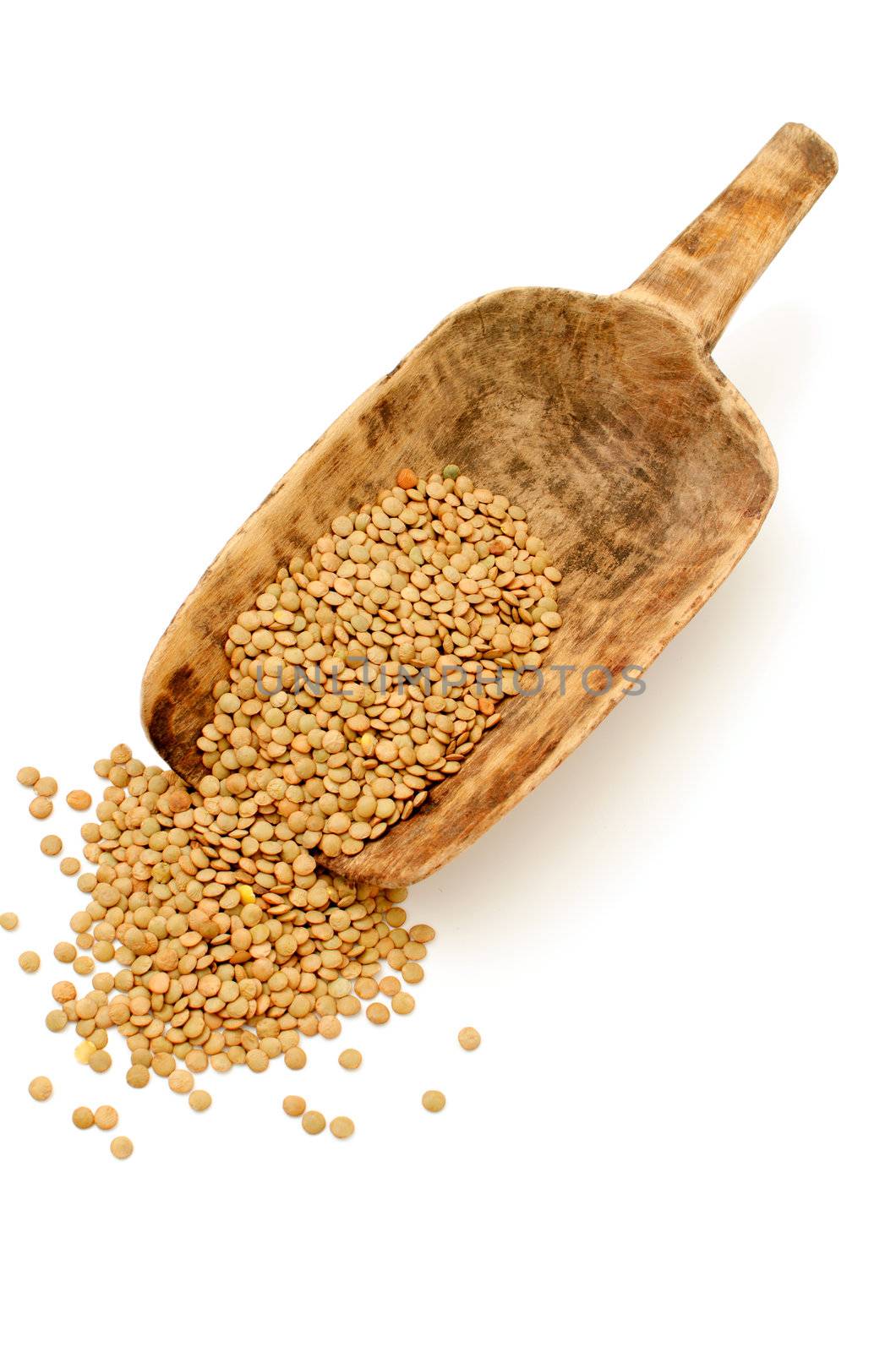 Lentil seeds on a white background by malija