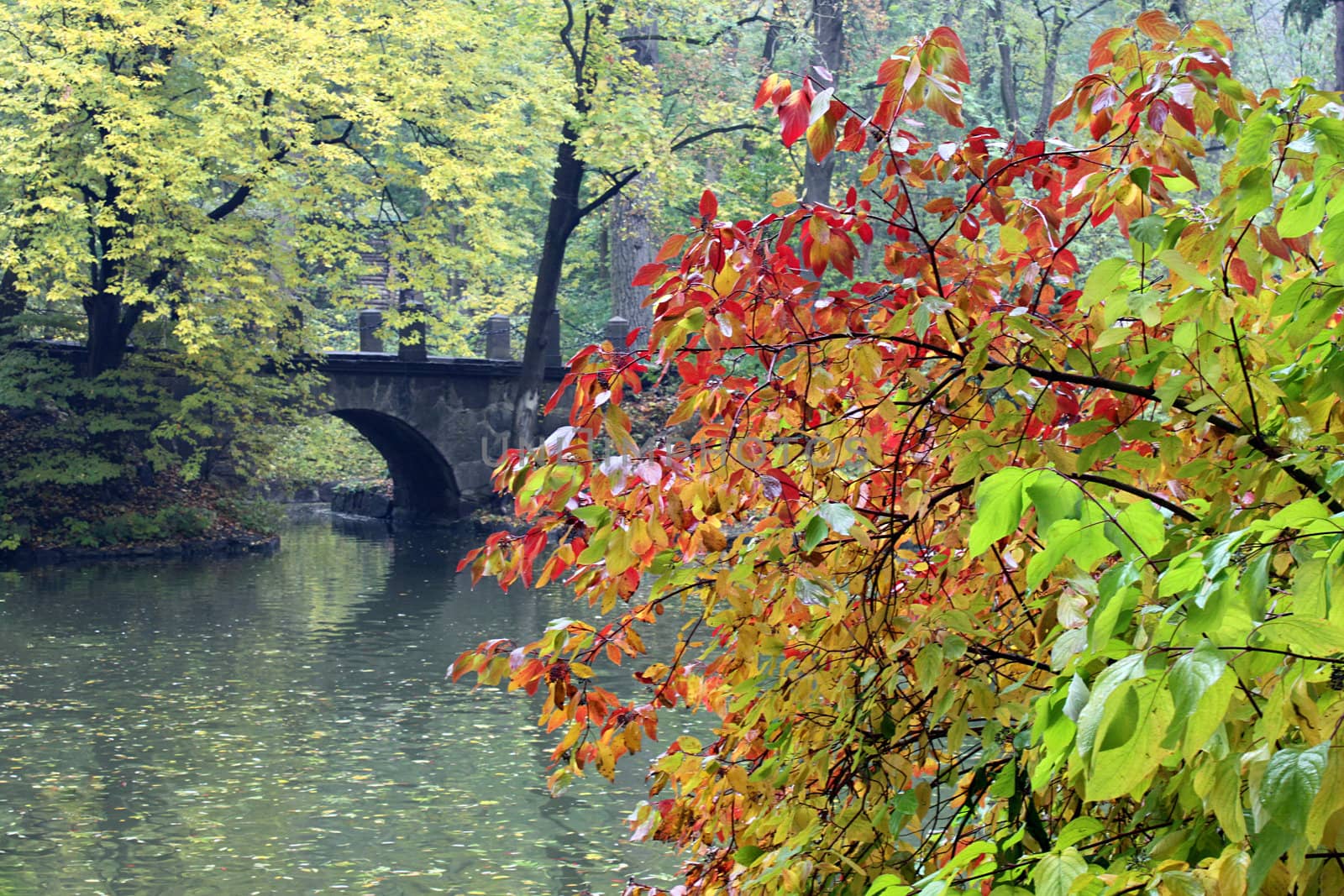 bridge over river in autumnal park