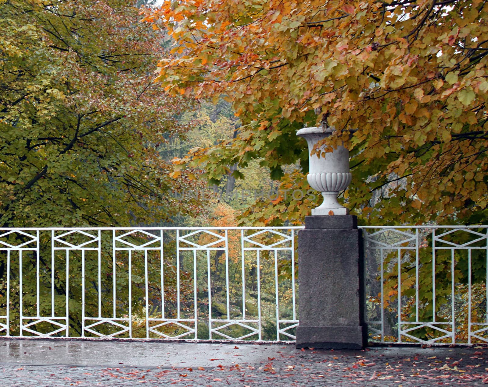 autumnal park