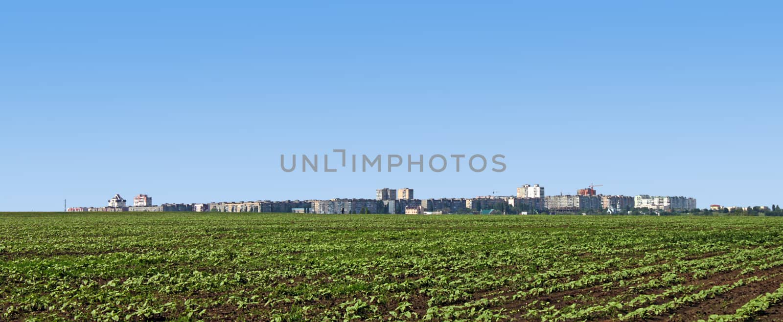 view on town behind field