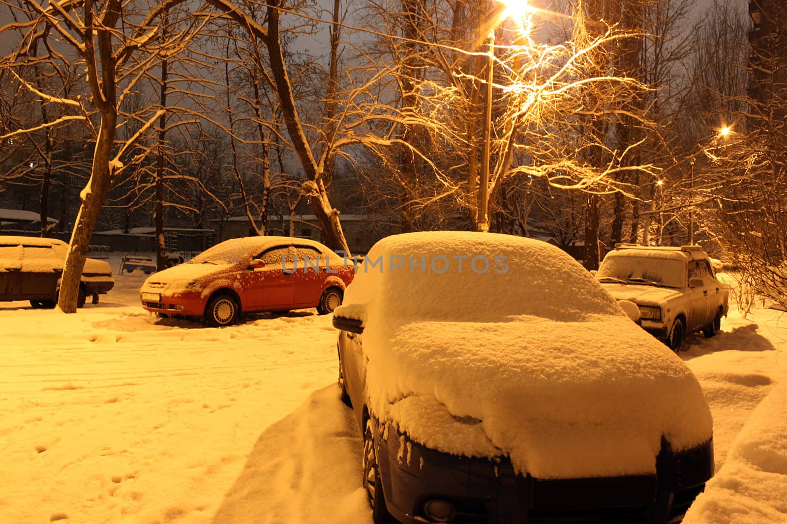 cars under snow in night