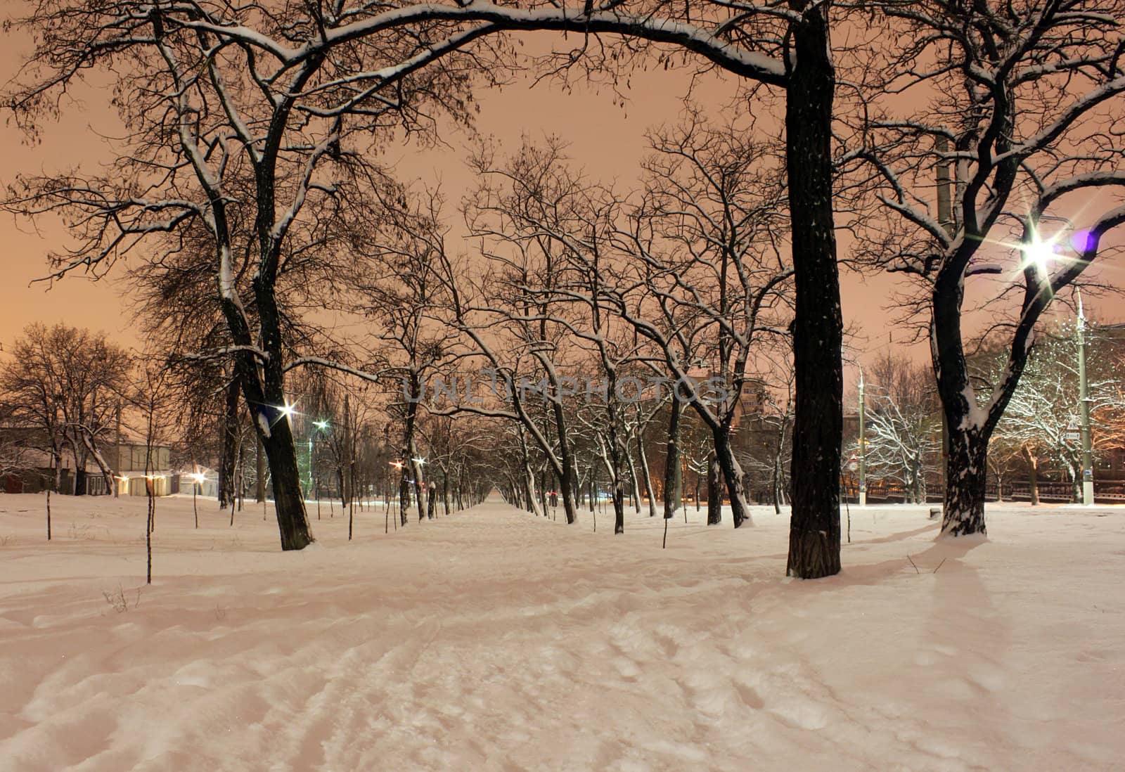 avenue in town at winter night