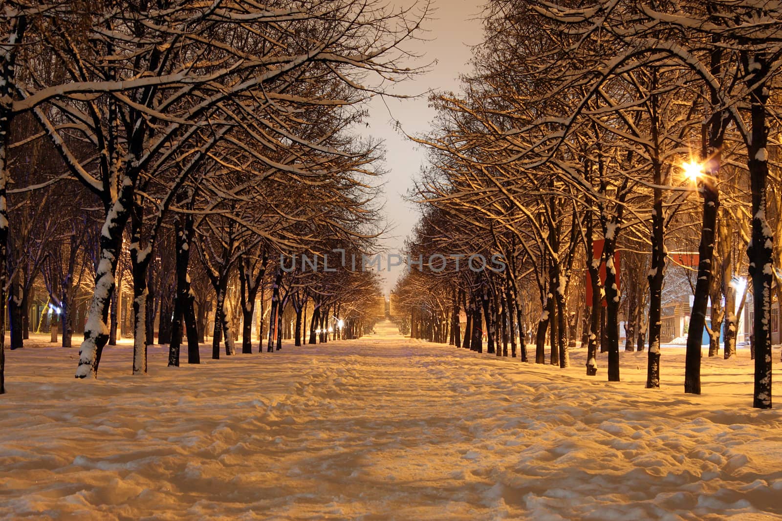 avenue in town at winter night