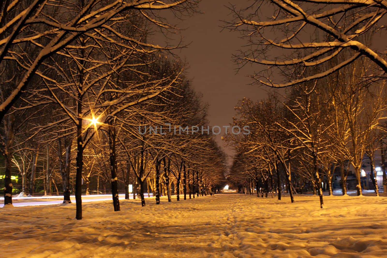 avenue in town at winter night