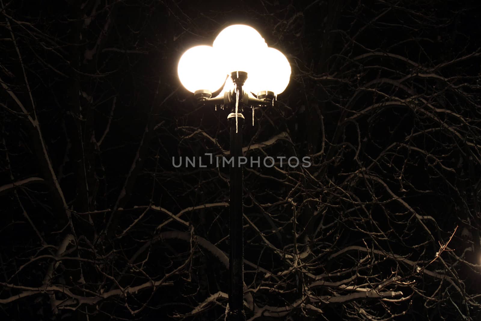 icicles on lantern at winter night