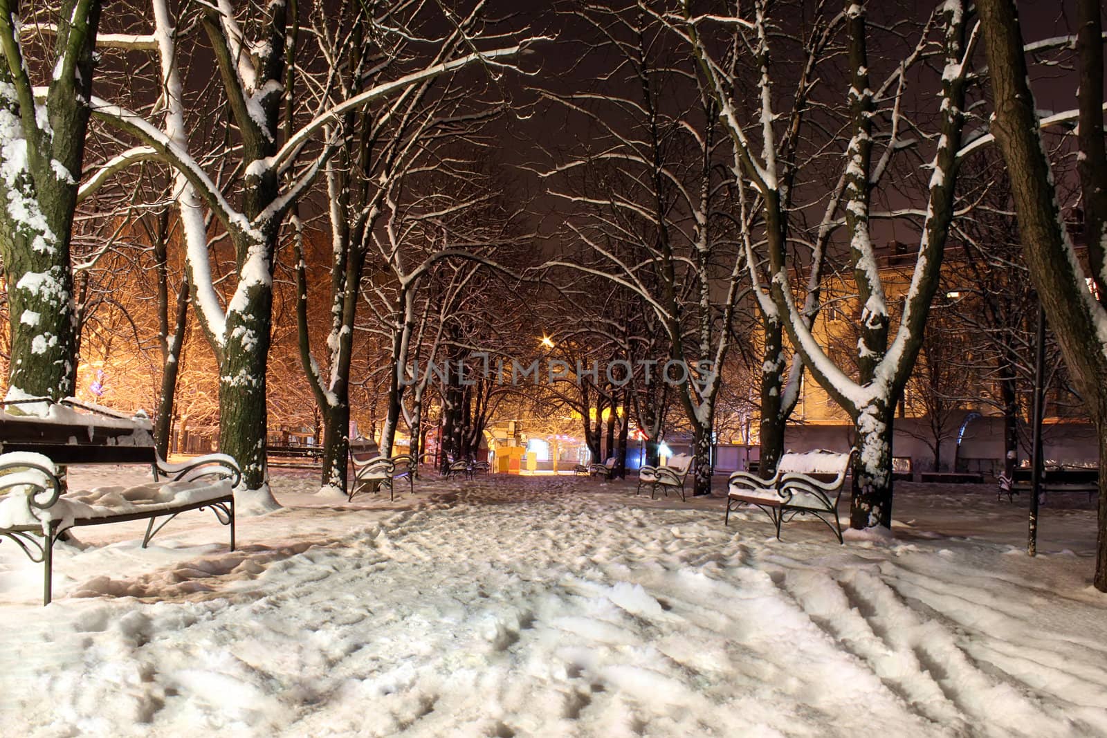 park at winter night