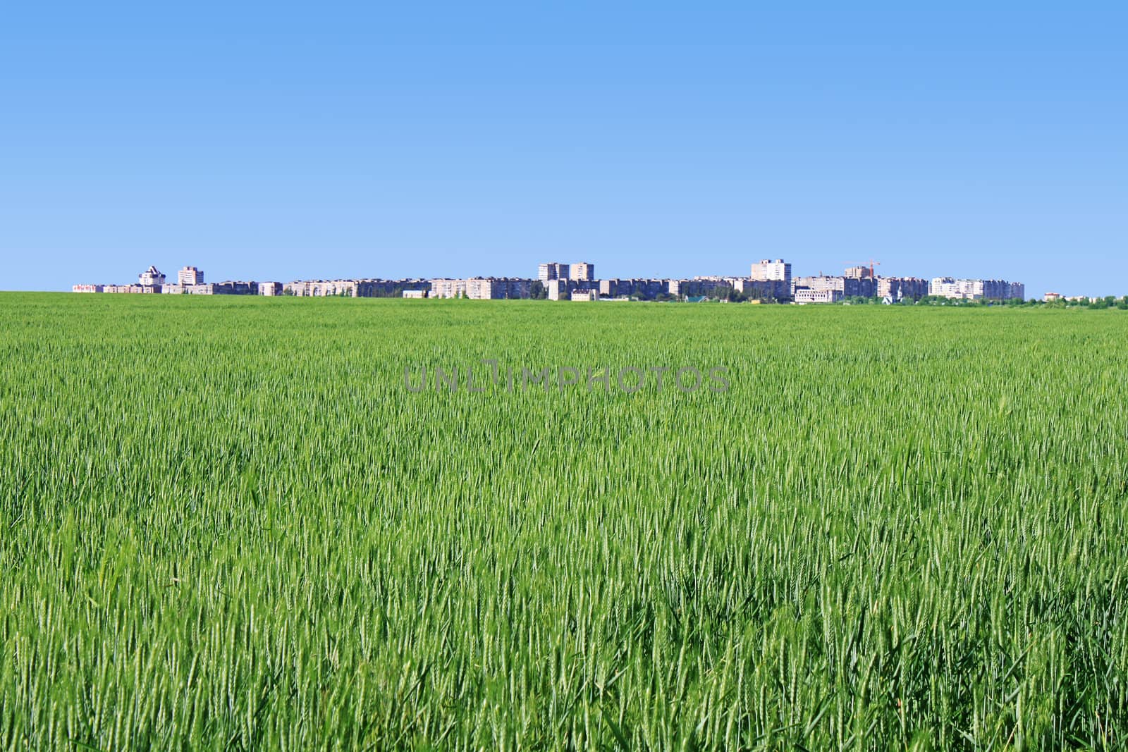 town behind wheat field