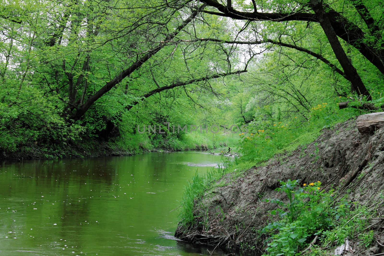 riverside at spring