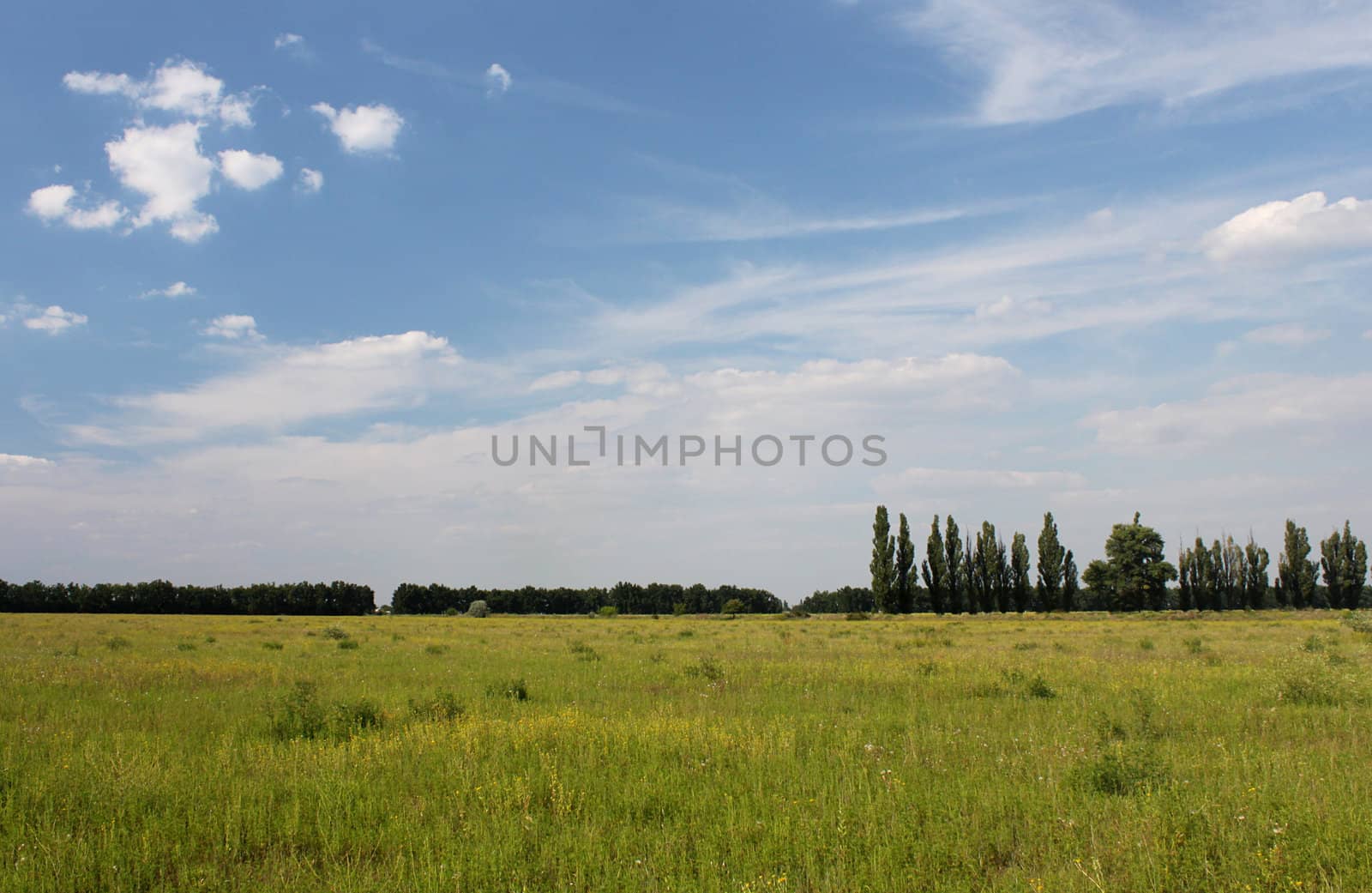 countryside view at summer