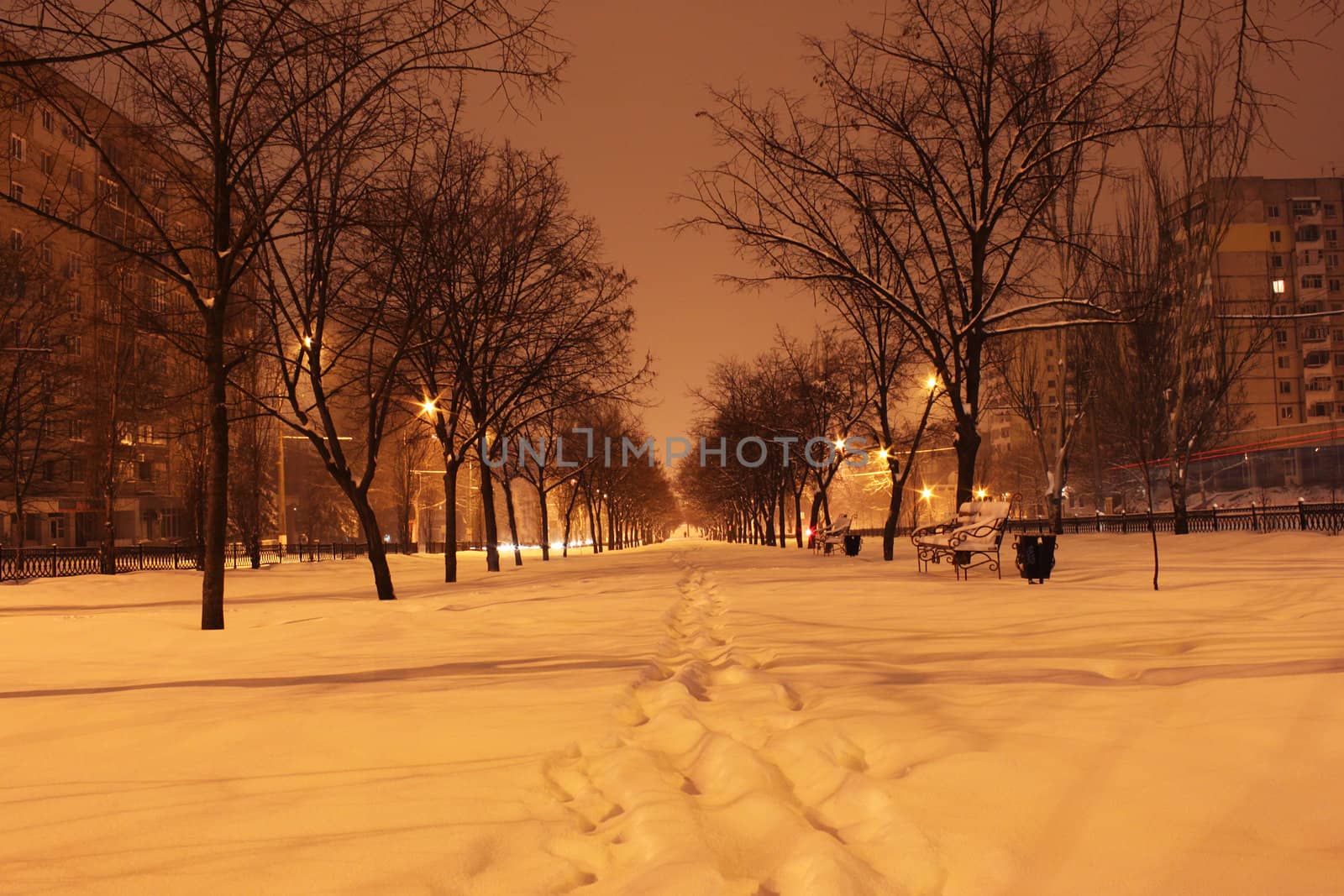 winter night in town