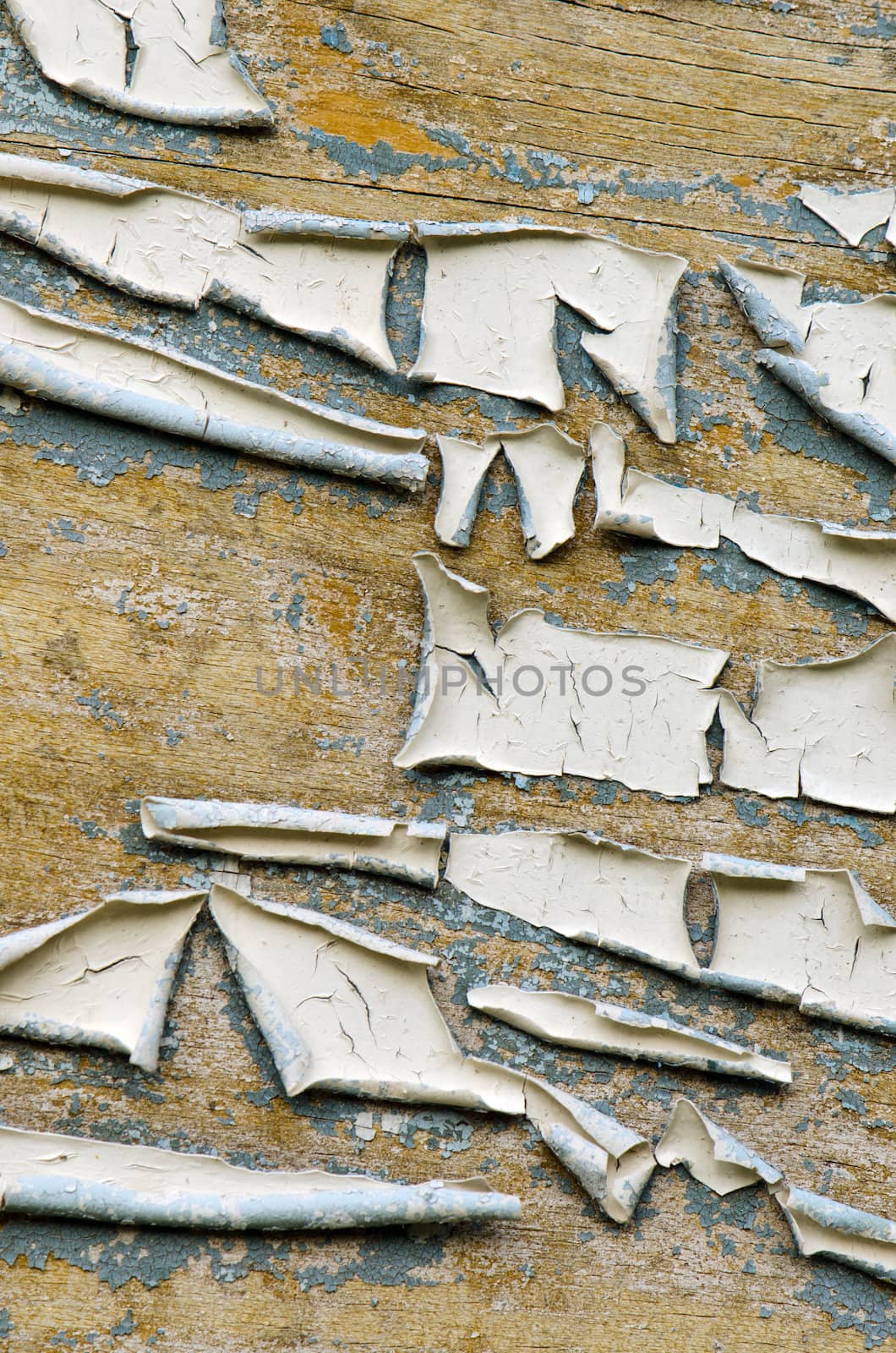 Abandoned wooden grunge wall peeling paint background.