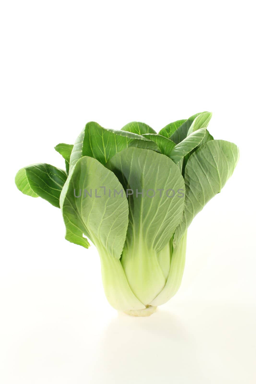 pak choi by discovery