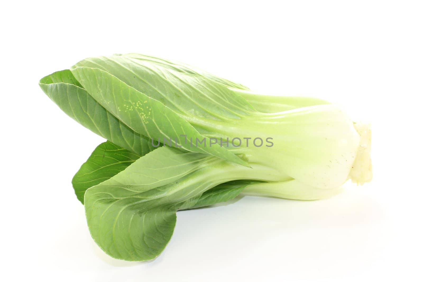 raw crisp pak choi by discovery