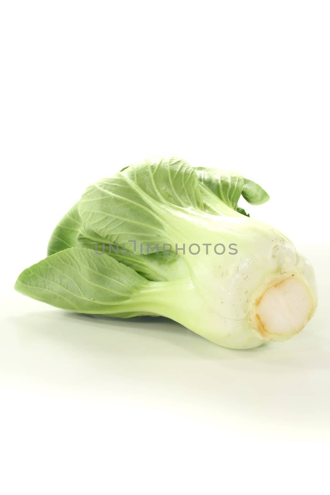fresh white and green pak choi on a light background