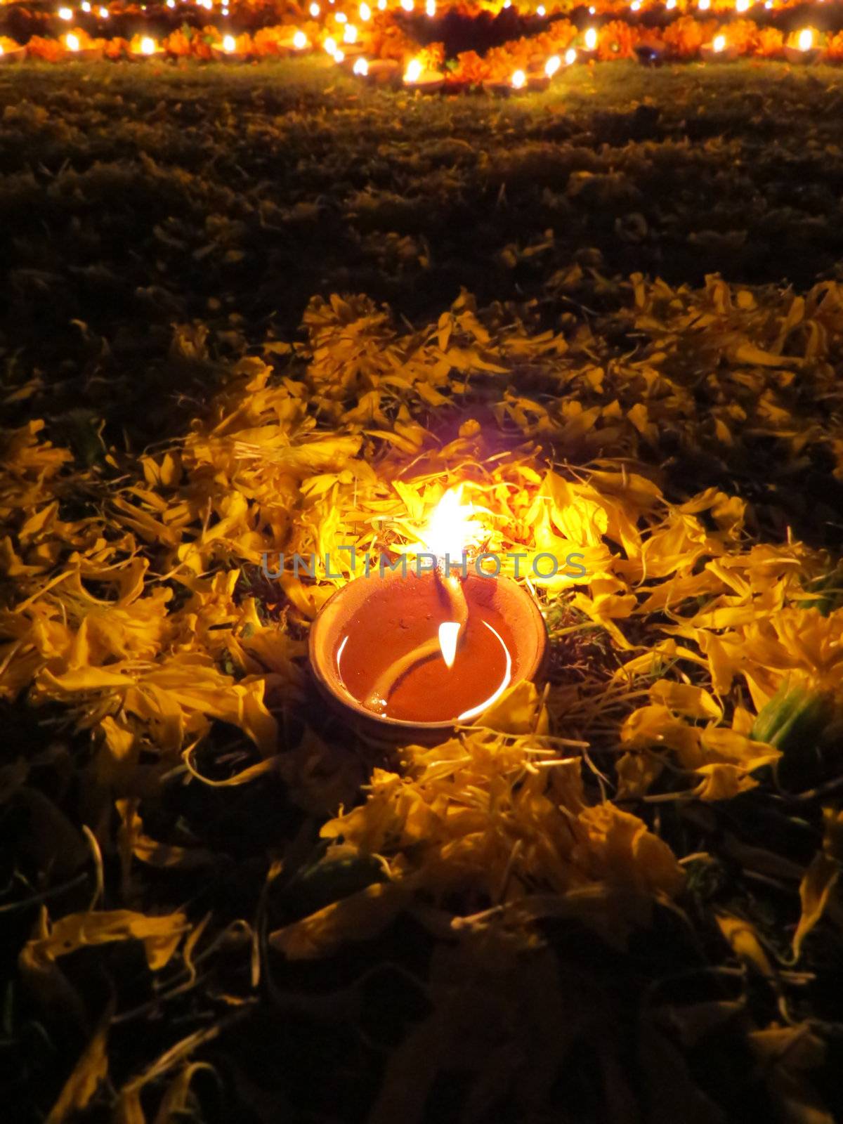 A lamp surrounded with flower petals, lit for a ritual on the occassion of Diwali festival in India.                               