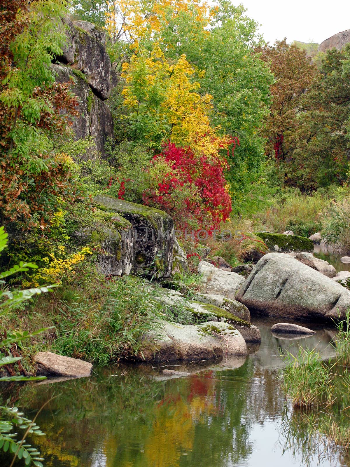 colors of autumn