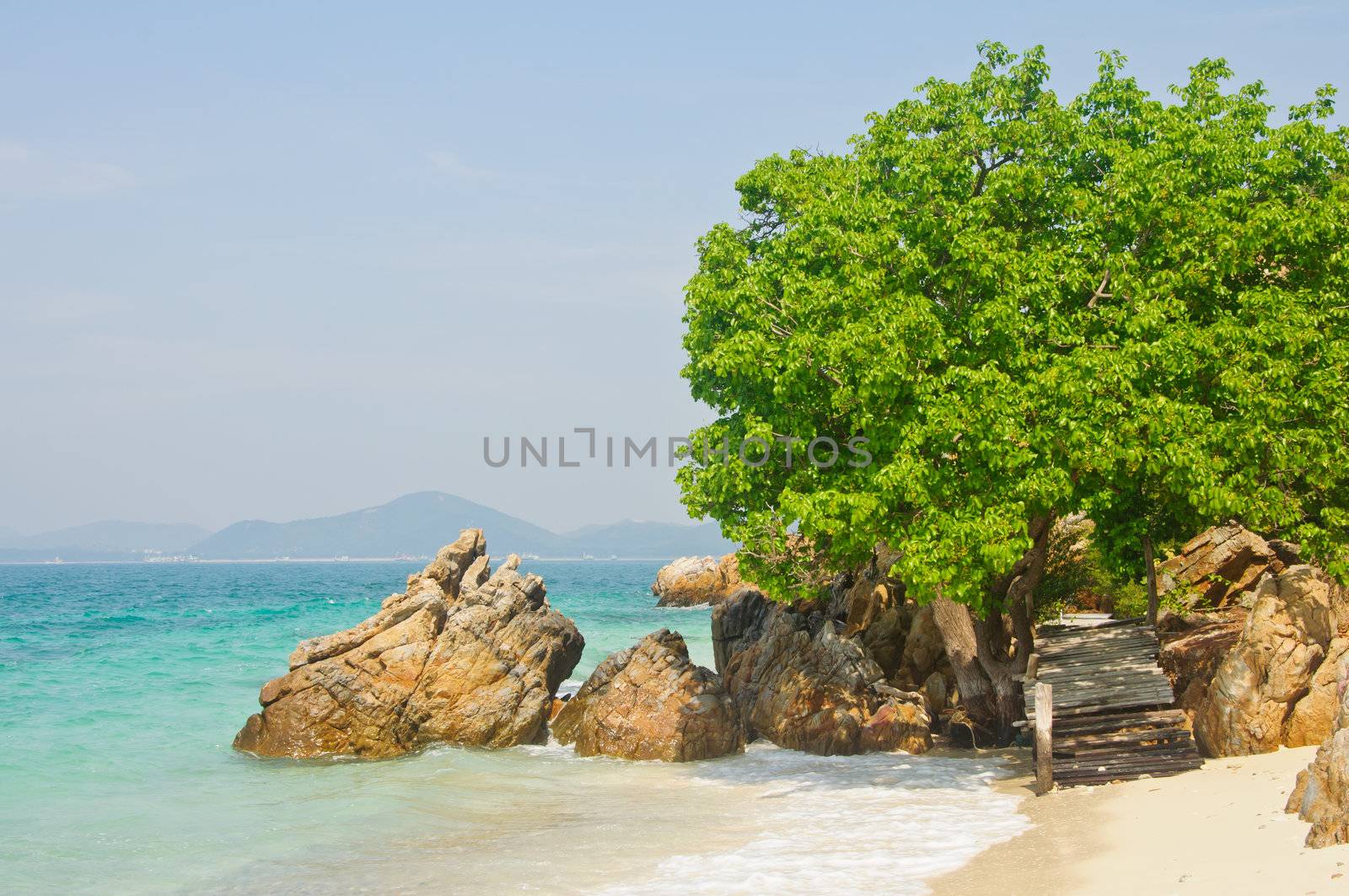 stone and tree by the sea at Kham island, Cholburi, Thailand