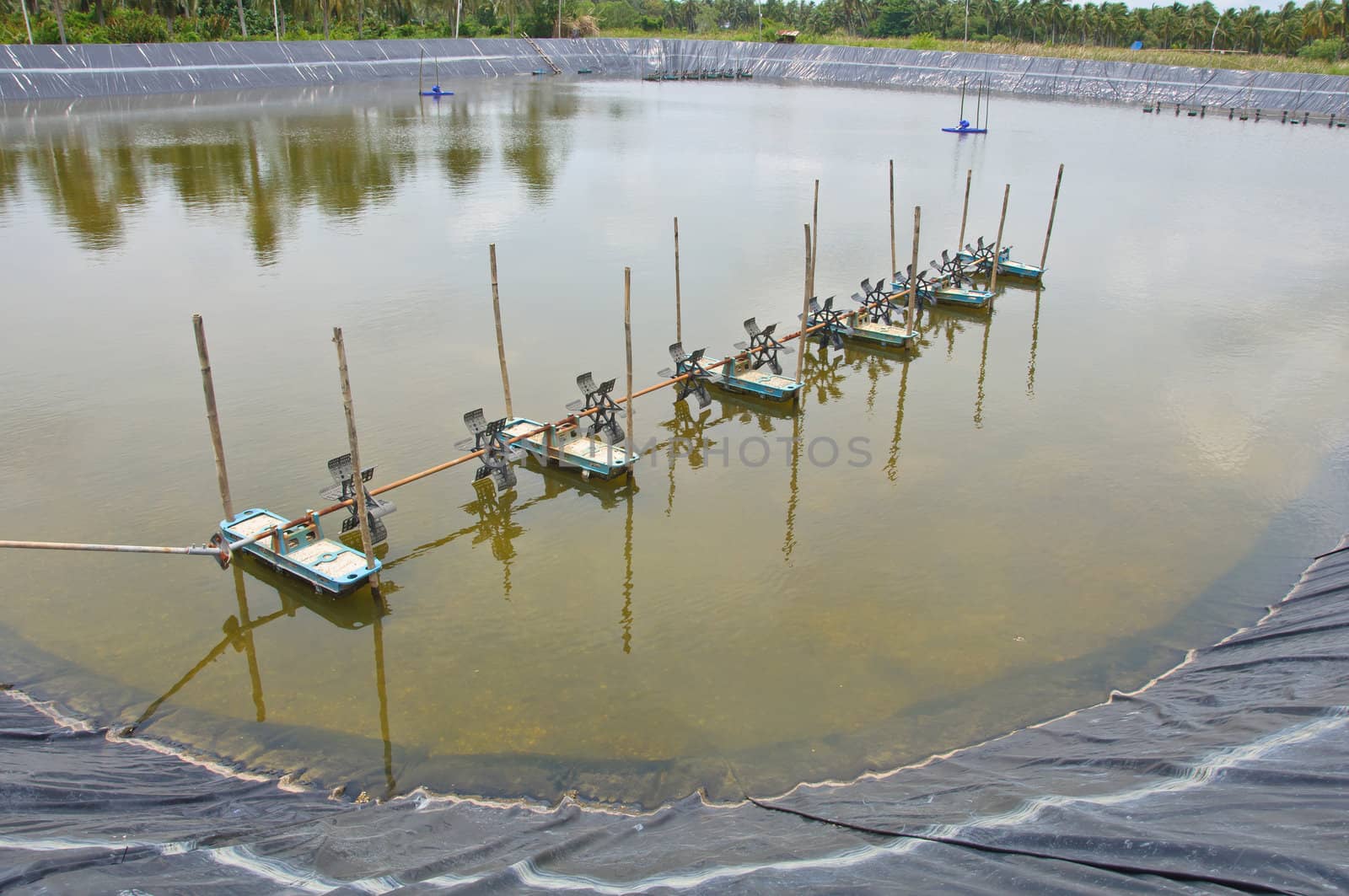 The aeration turbines in the shrimp farm for fresh water