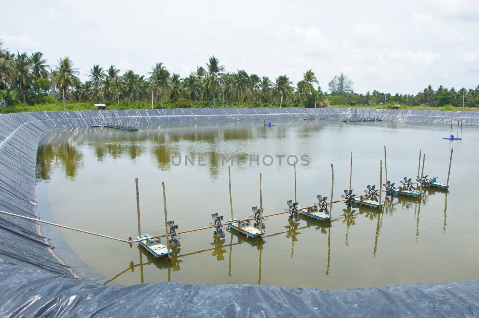 The aeration turbines in the shrimp farm for fresh water