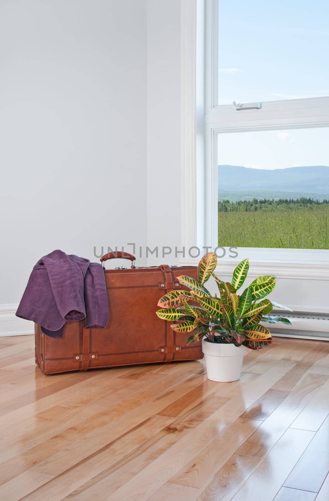 Just arrived. Retro suitcase and plant in an empty room with beautiful view.