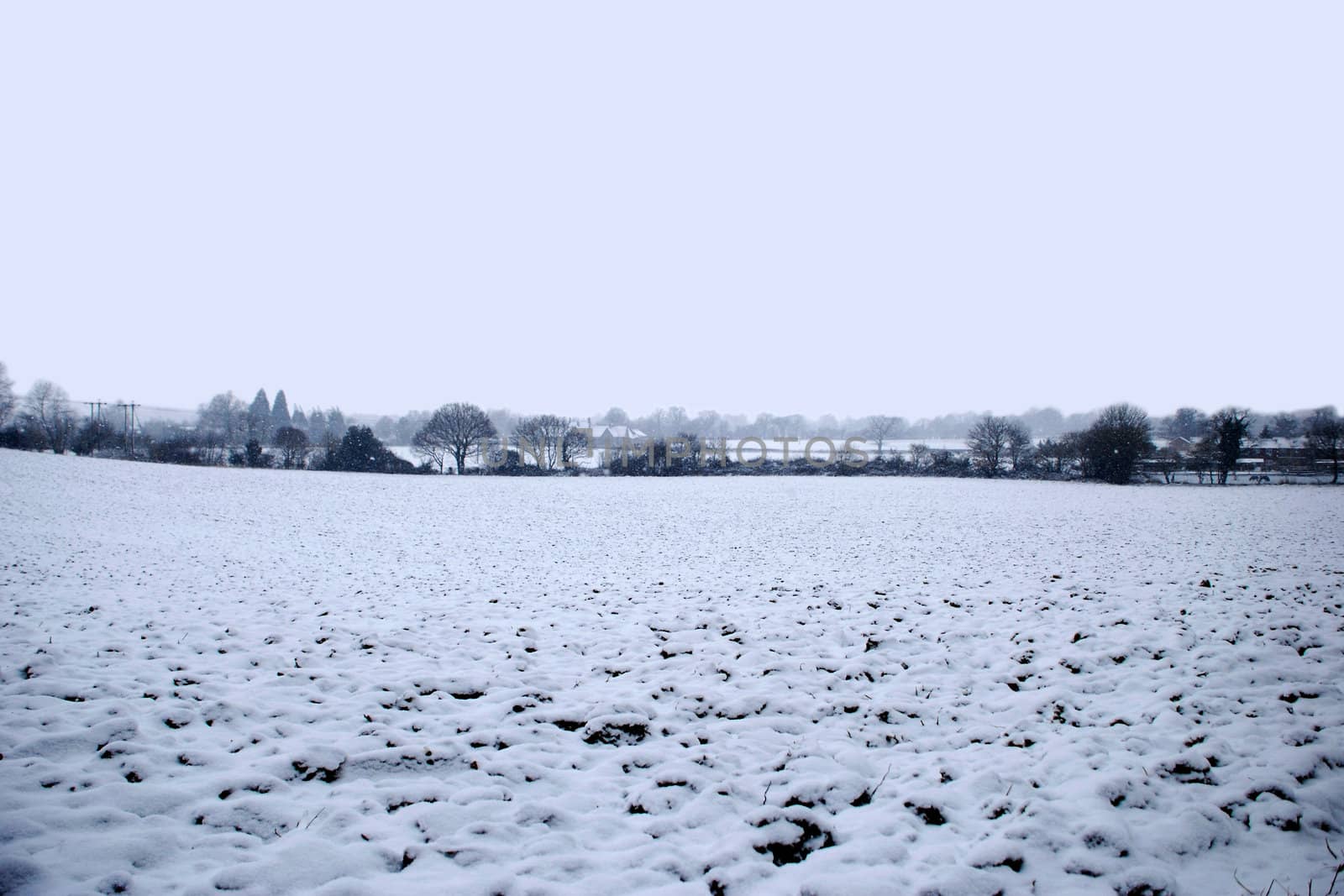 Snowy English winter landscape with a dark line of trees and hedgerow