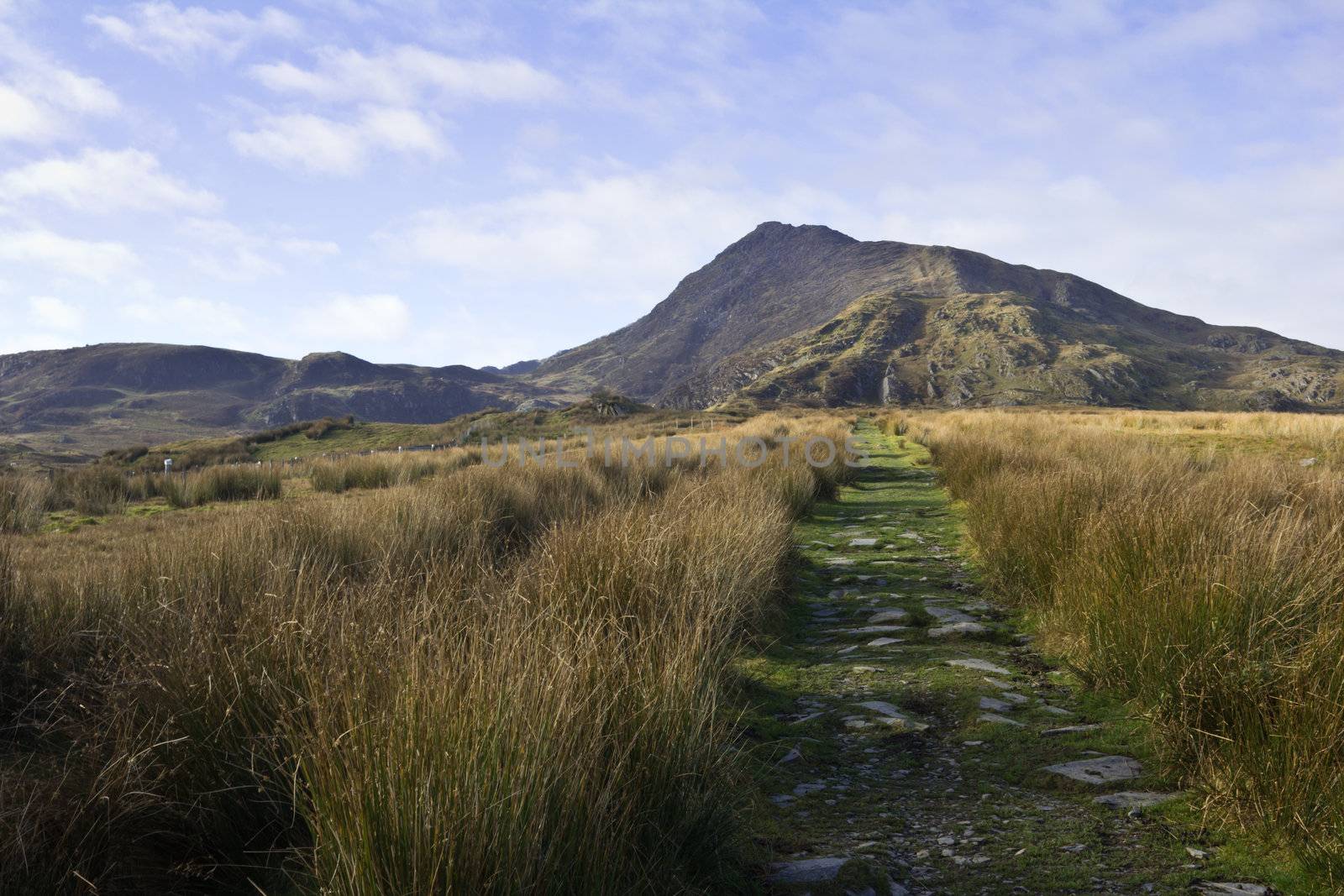 The leading to the mountain Moel Siabod in Snowdonia national park Wales