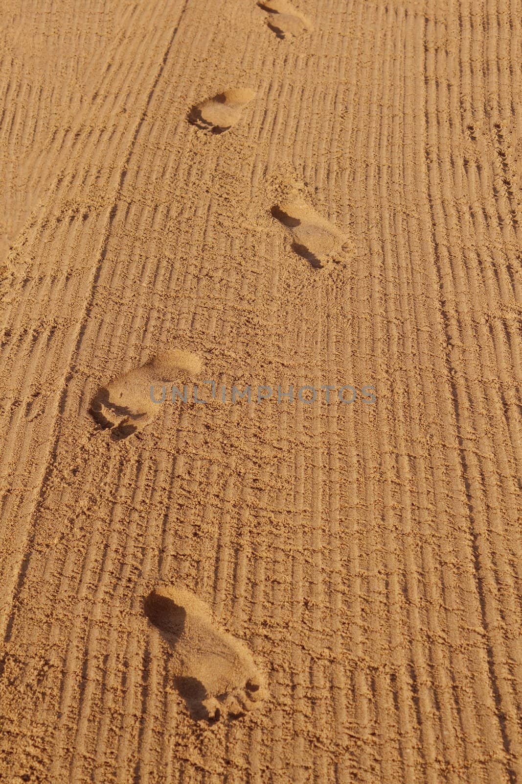 Human footprints on the beach sand leading to the viewer