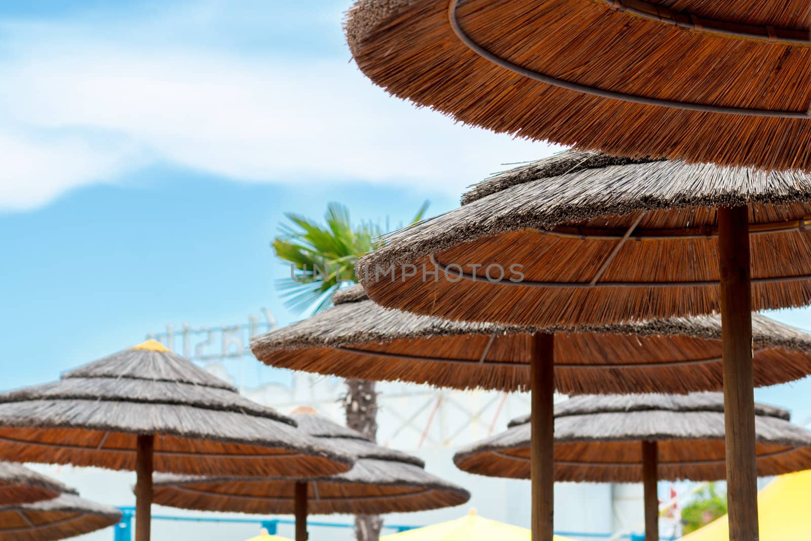 reed sunshades and blue sky with clouds