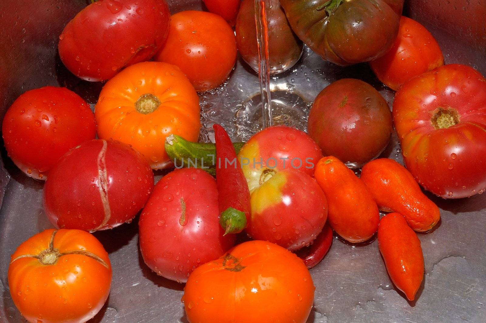 fresh tomatoes and peppers for a vegetable salad