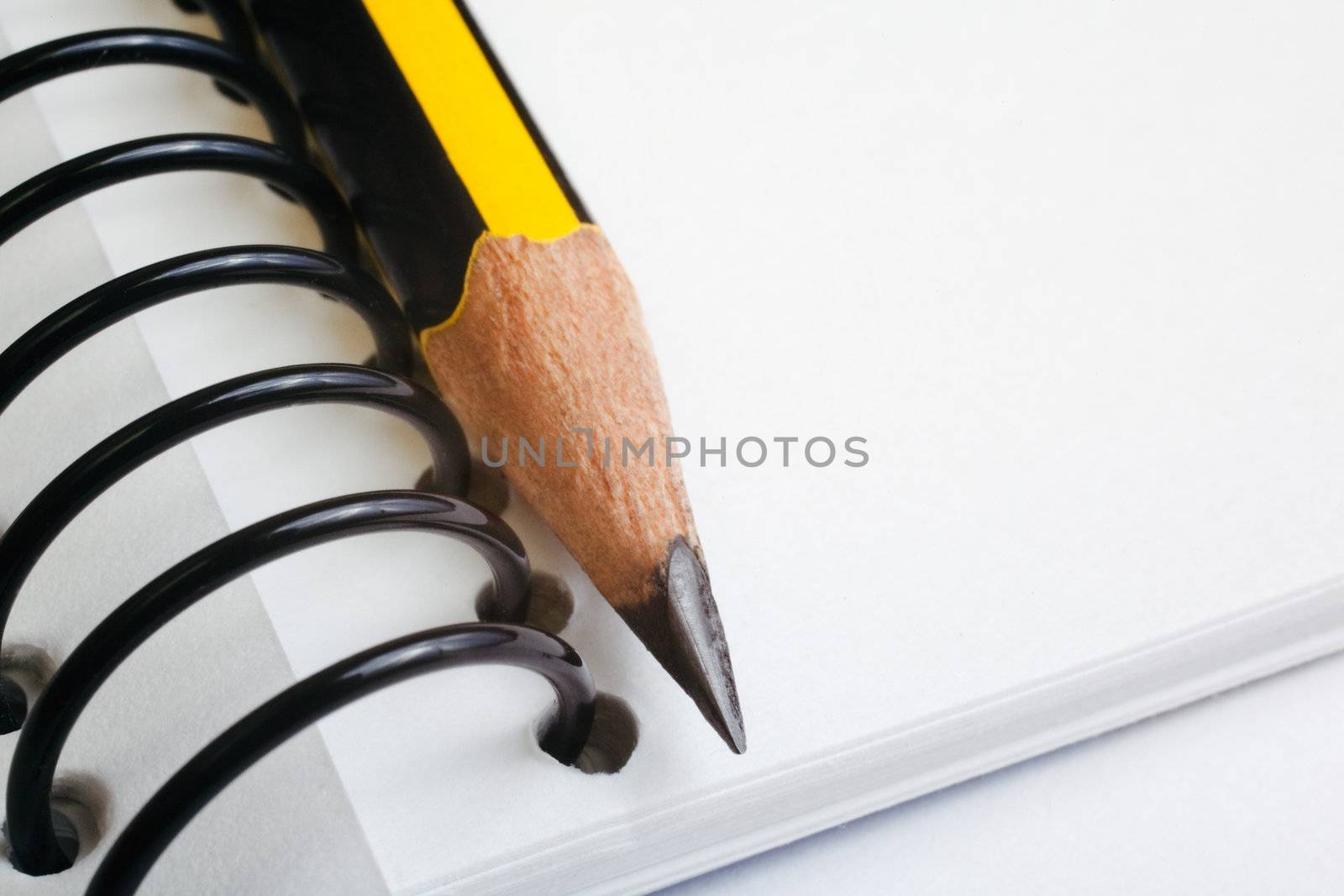Pencil detail and copy space