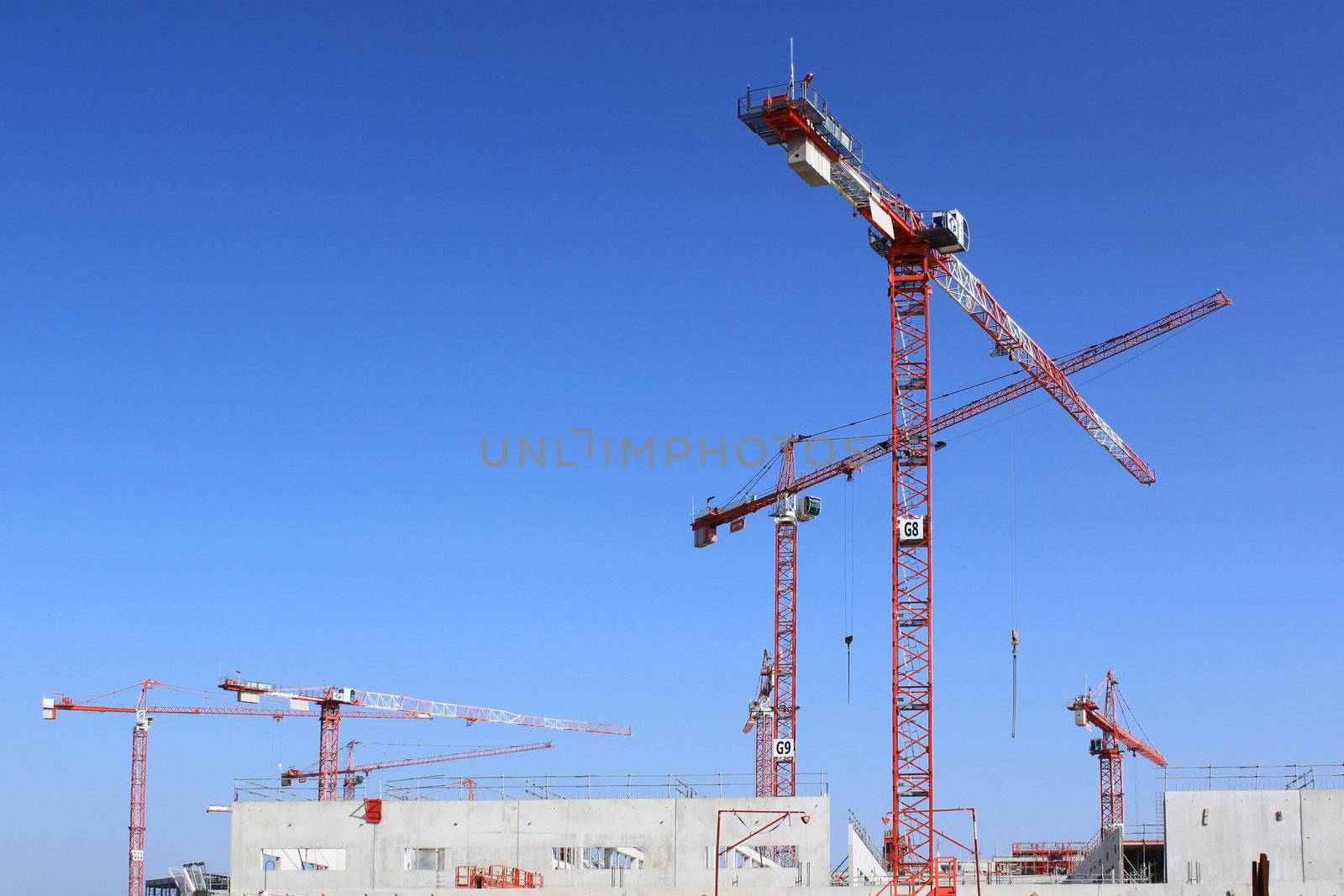 for several cranes on a building construction site for building or public works