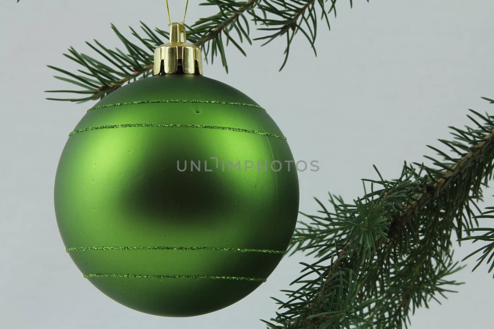 Green bulb hanging on Christmas tree branches, with white background
