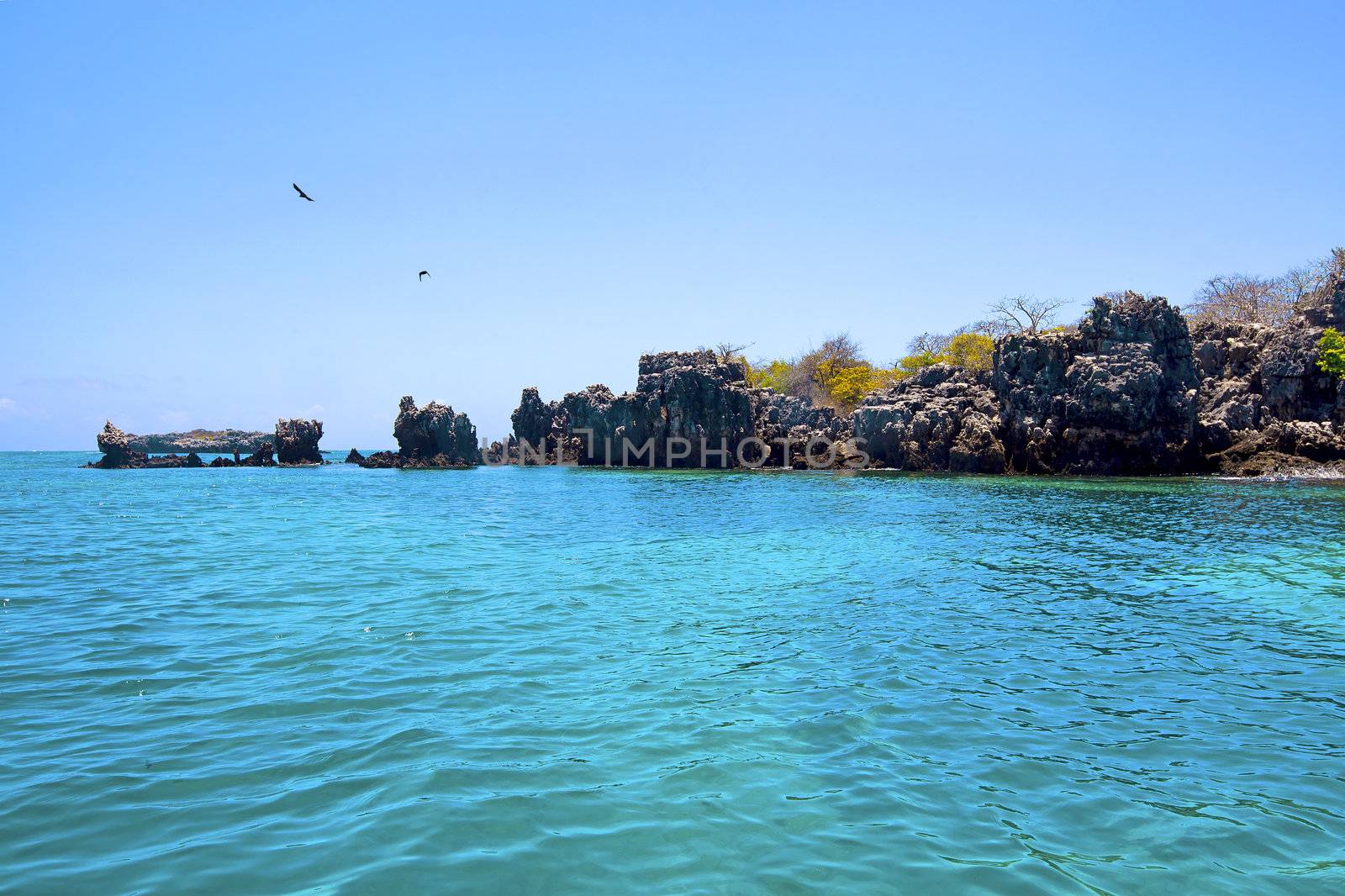 Untouched nature at Mafia Island in Tanzania