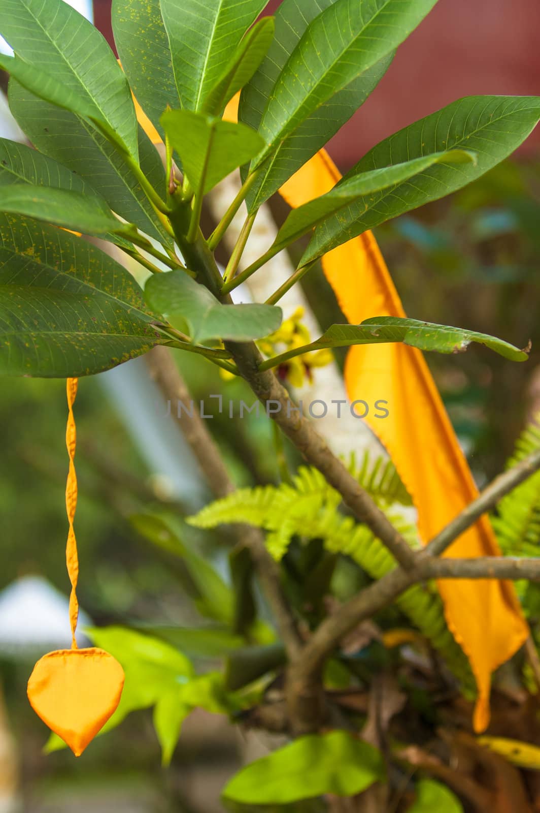 Balinese yellow heart ornament hanging from a plant