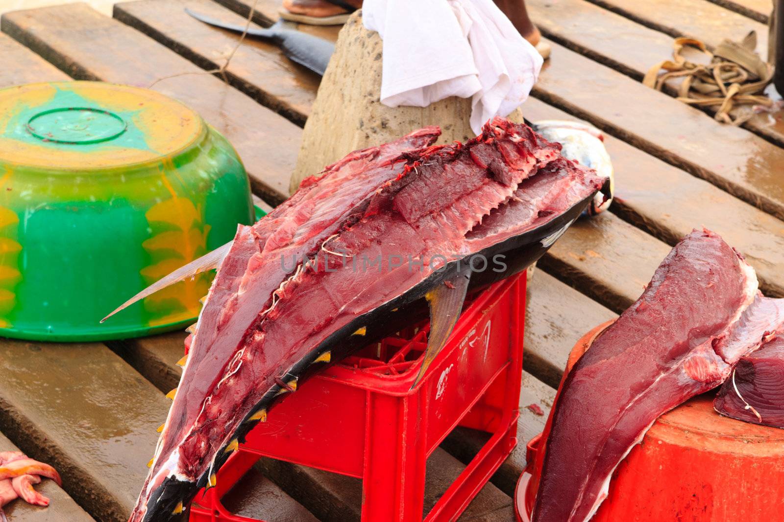 Fresh fish and fisherman in Santa Maria, Sal Island, Cape Verde africa