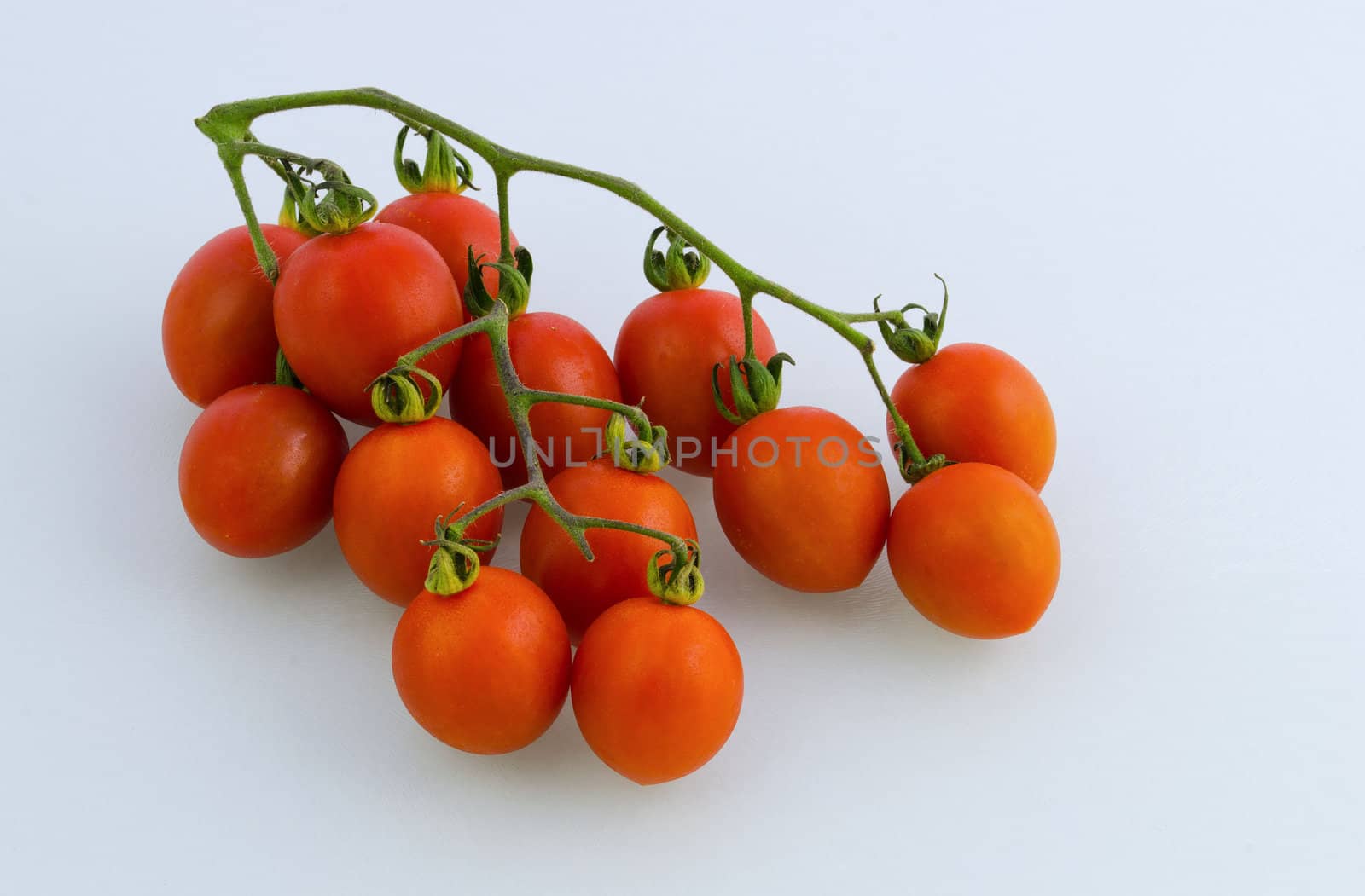 Sugardrop tomatoes by Jez22