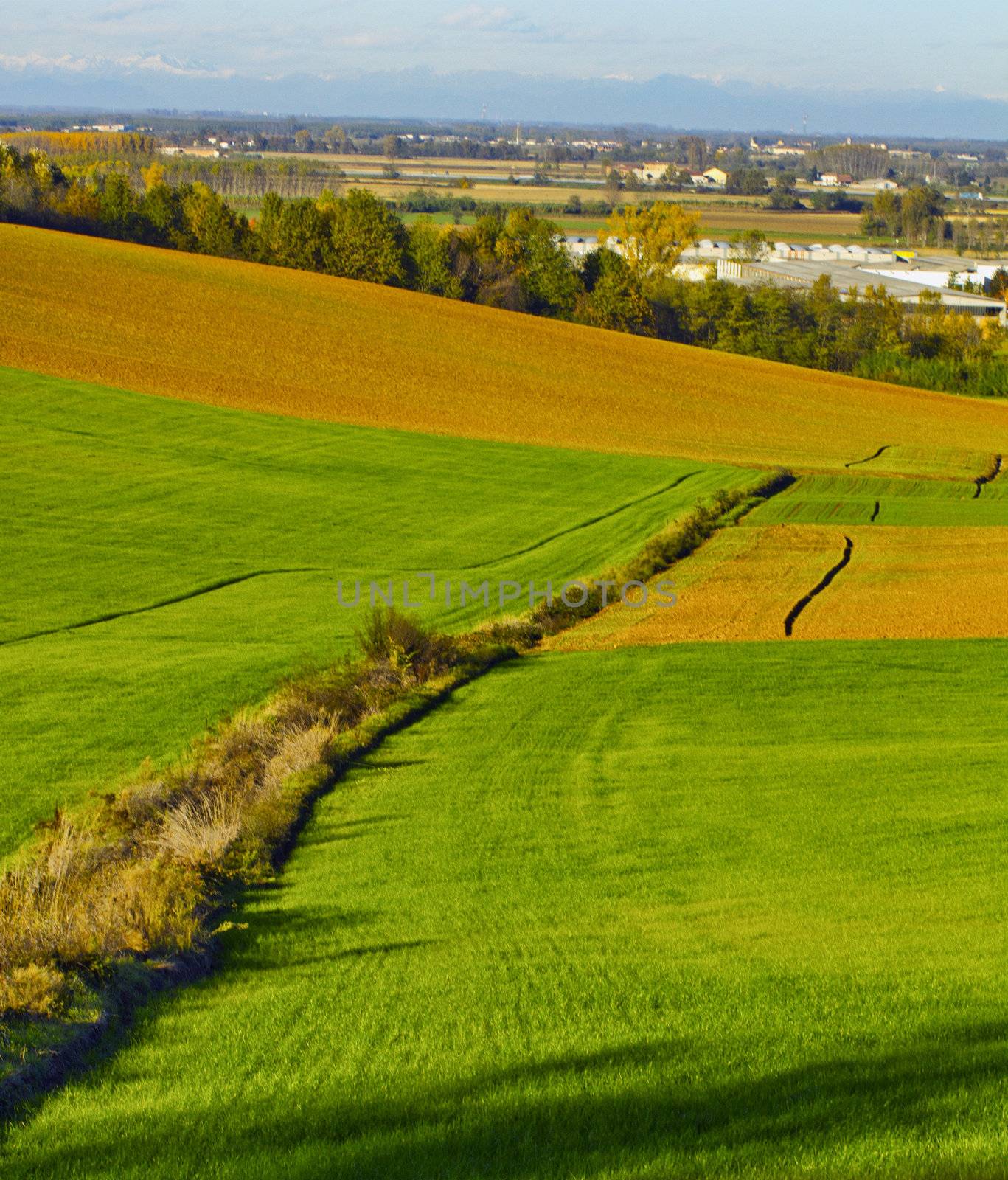 Landscape of fields with different colors and town on the background