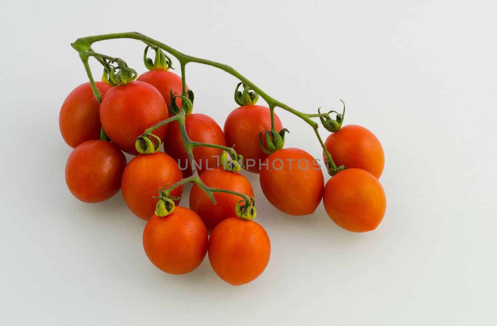 Tomatoes on the vine by Jez22