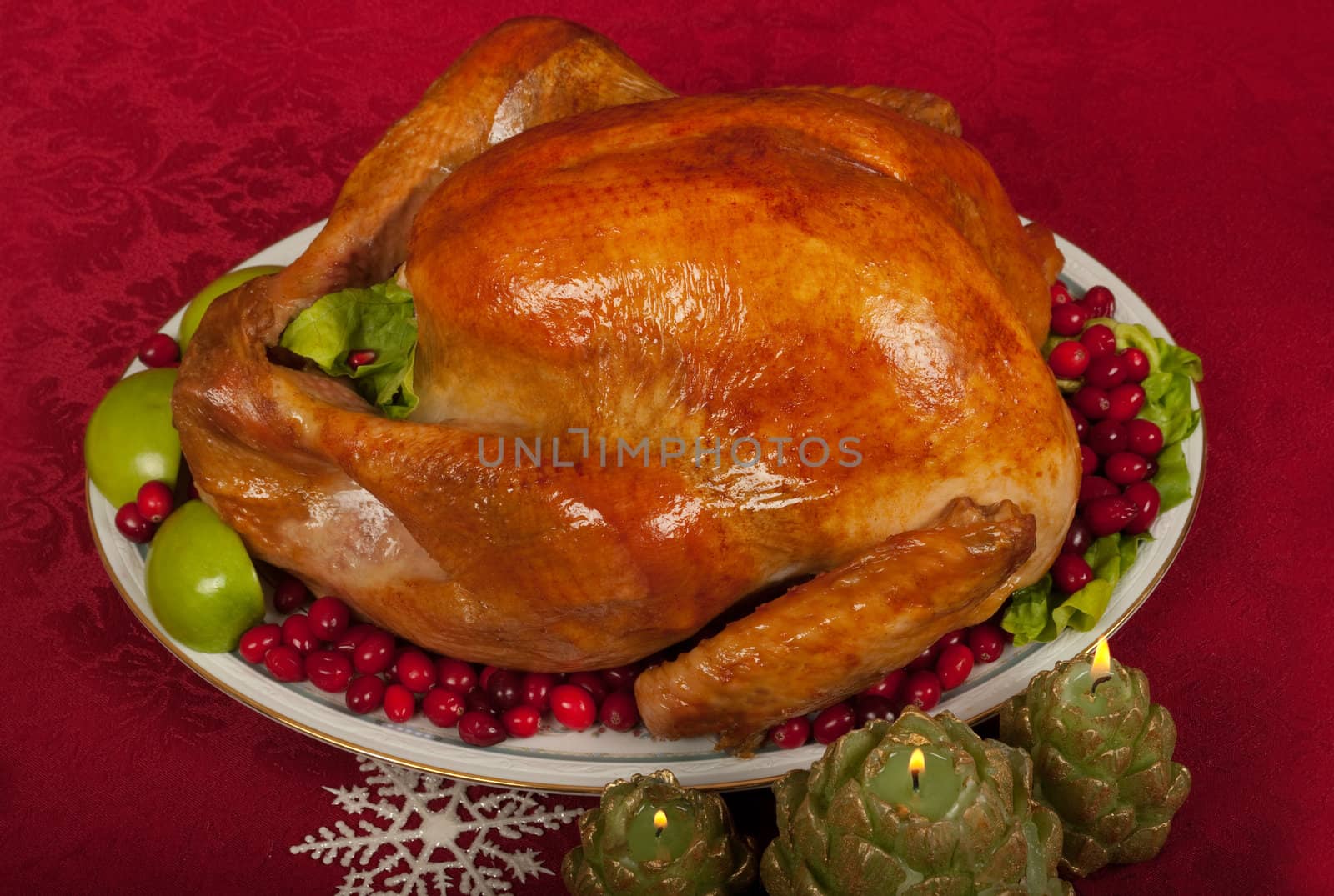 Christmas Turkey by BVDC