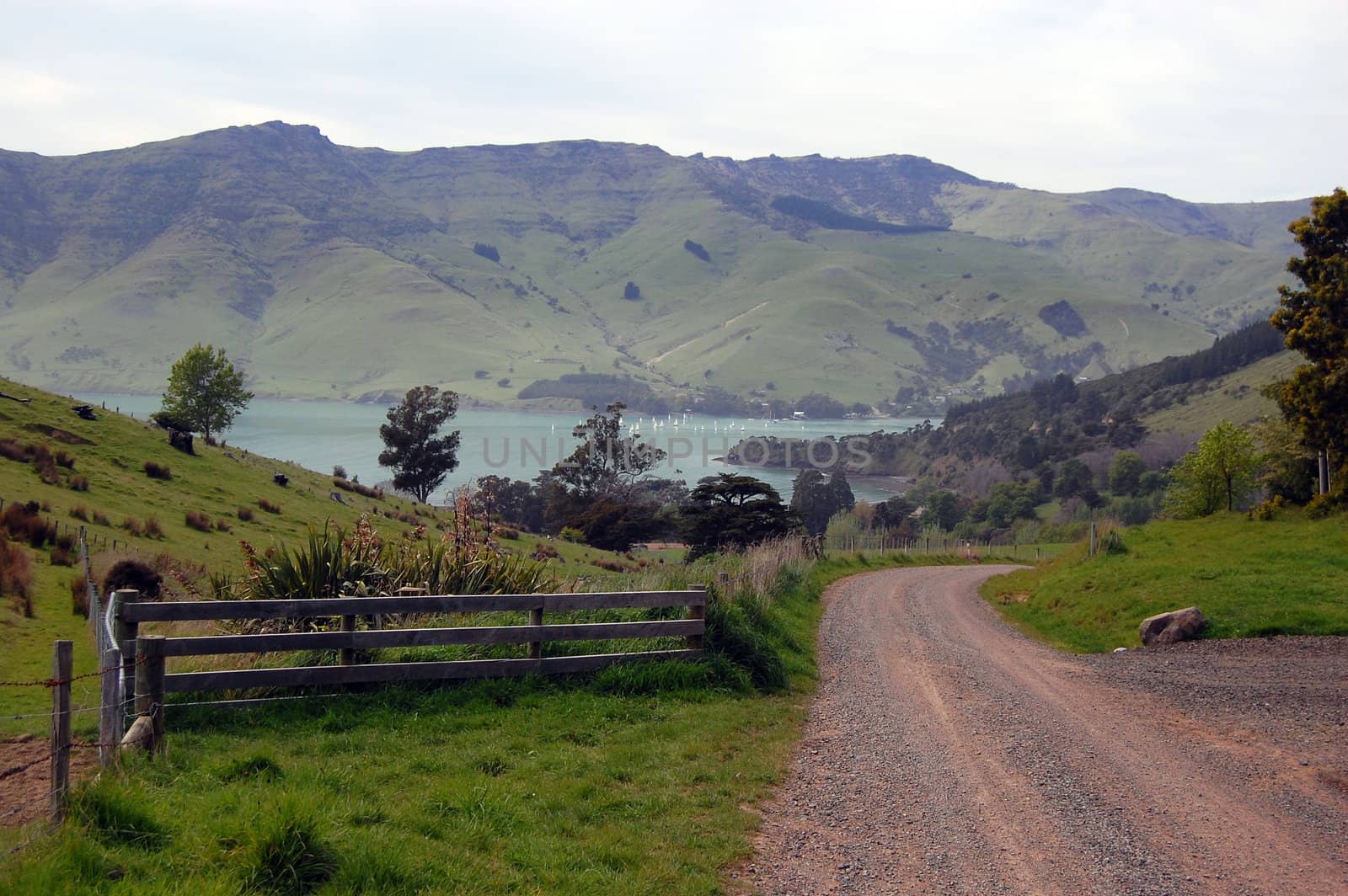 Gravel road and farm fence near bay, Banks Peninsula, New Zealand