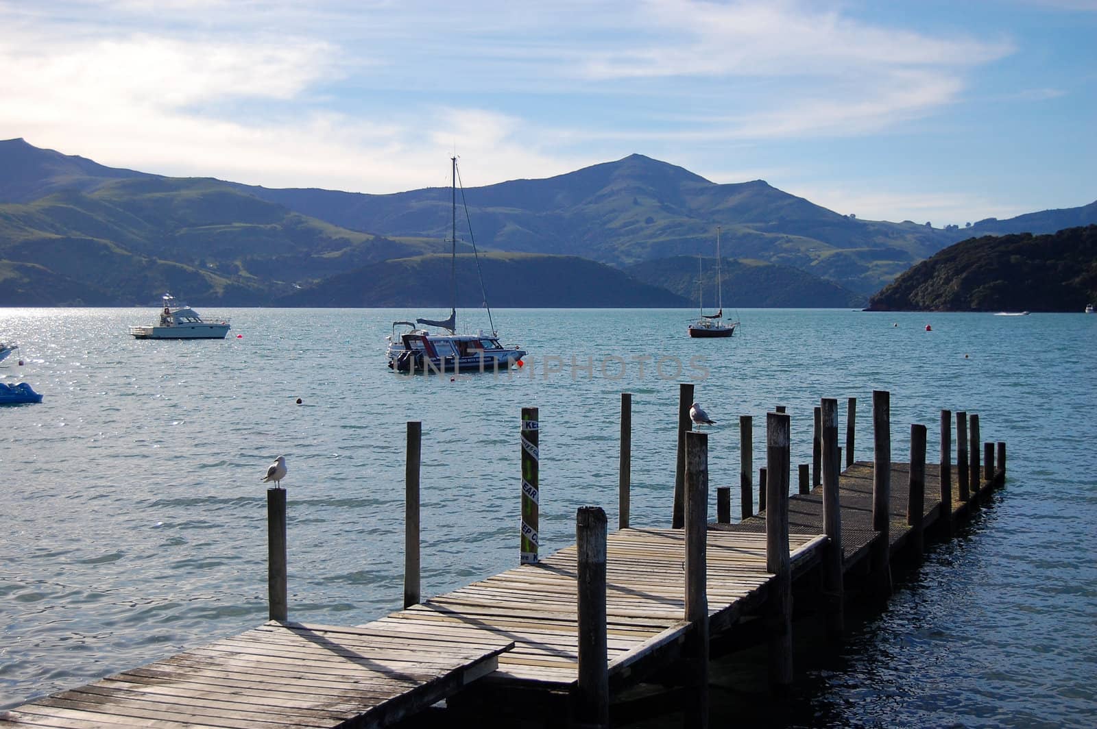 Timber pier in Akaroa bay, Banks Peninsula, New Zealand